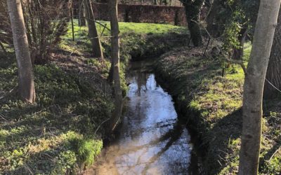 Nettoyage du Henri Fontaine par l’asbl Aer Aqua Terra