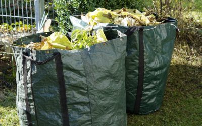 Législation sur l’incinération des déchets de jardin