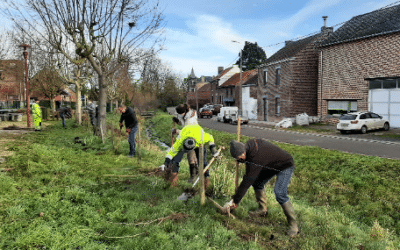 200 m de haies plantés à Avin grâce au PCDN