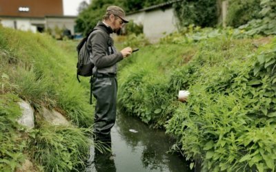 Analyse de l’état de santé des rivières du bassin de la Meuse Aval et affluents