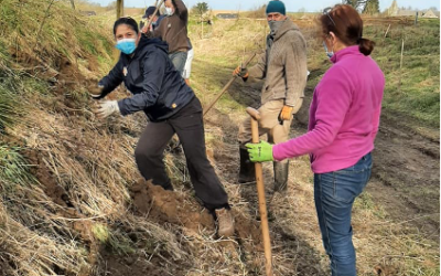 1 km de haies champêtres plantées à Grand-Hallet et Petit-Hallet