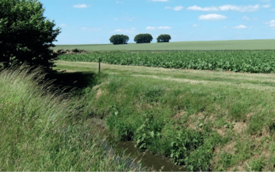 Avis aux agriculteurs – couvert végétalisé permanent