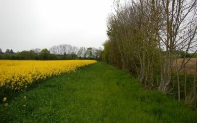 Méthodes Agro-Environnementales et Climatiques