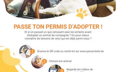 PENSE-BÊTE : PASSE TON PERMIS D’ADOPTER