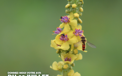 Avis d’Enquête Publique : La Stratégie Biodiversité 360°