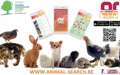 Bien être animal – Application Animal Search