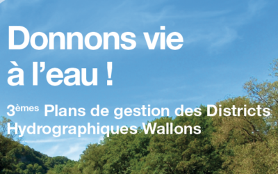 Plans de Gestion des Districts Hydrographiques