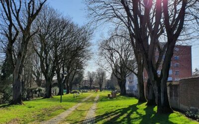 Parc de la Halette – Coupe sécuritaire