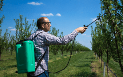L’utilisation des pesticides par les particuliers