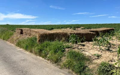 Inondations – toutes les informations ici !