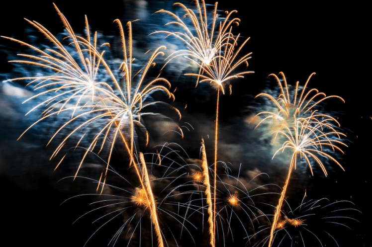 Feux d’artifice et bien-être animal
