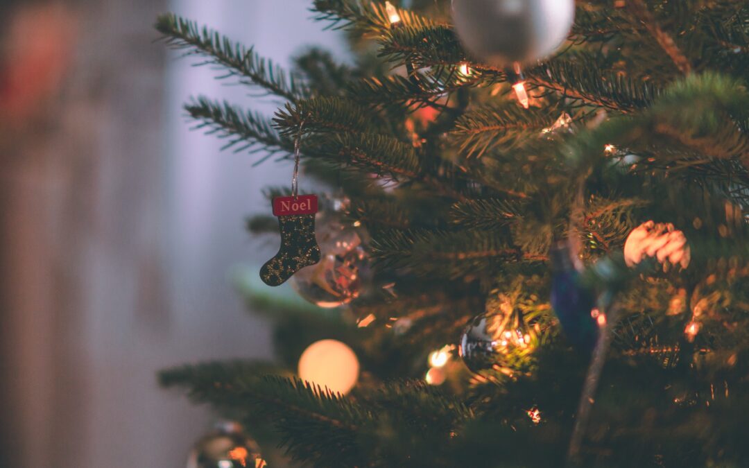 Collecte des sapins