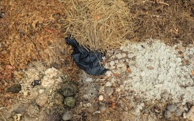 Les tas de fumier ne sont pas des poubelles
